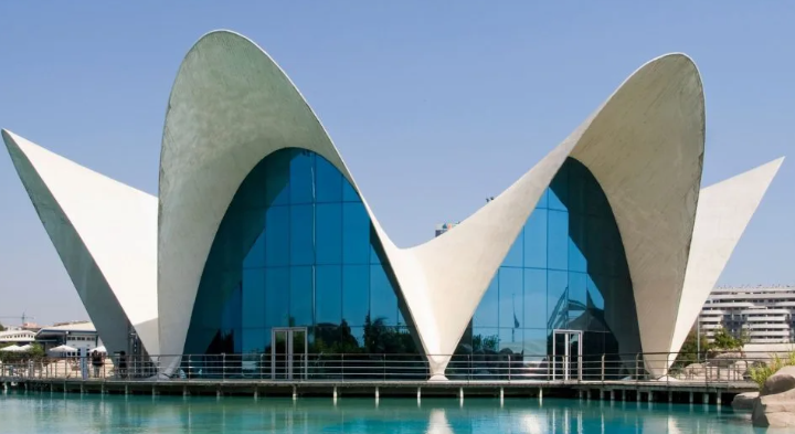 Visita Città delle Arti e Scienze di Valencia 3 Oceanografic