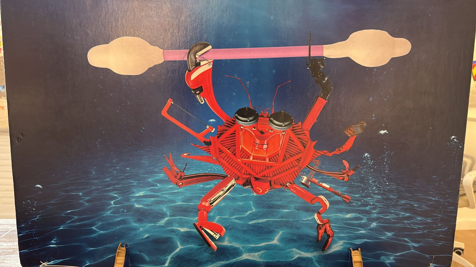 il grachio ecologista di Xavier Carrillo